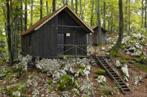 Baza 20, Jošt Gantar