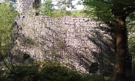 Ruševine gradu Stara Soteska, Wikipedia