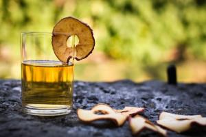 Sadjarstvo Bučar, arhiv Občine Dolenjske Toplice