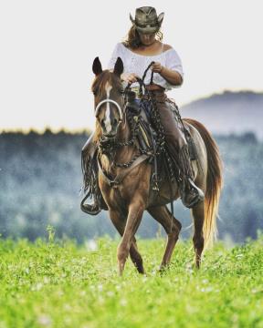 Posestvo Dobrodih, arhiv Urške Granda