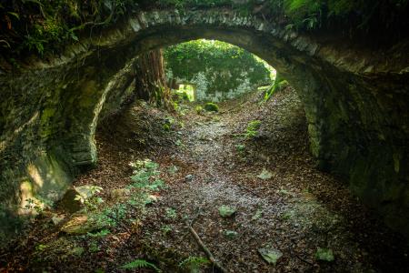 Rožek, Boštjan Pucelj