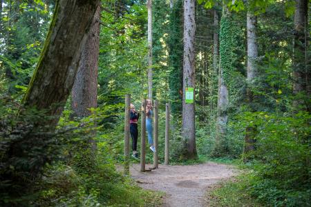 Trim steza, Alenka Peterlin