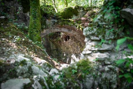 Rožek, Andreja Peterlin