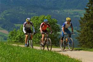 Kolesarjenje, Alenka Peterlin