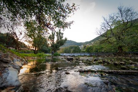 Ribolov, Alenka Peterlin