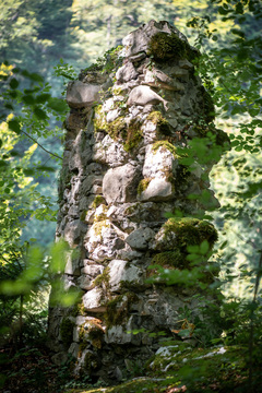 Ruševine gradu Rožek, Alenka Peterlin