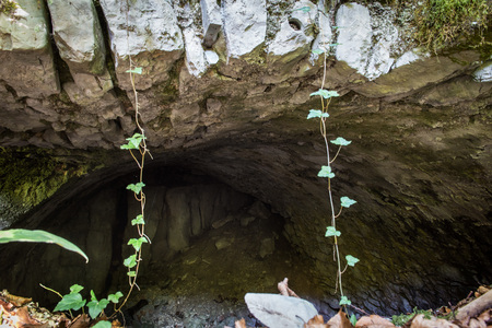 Ruševine gradu Rožek, Alenka Peterlin