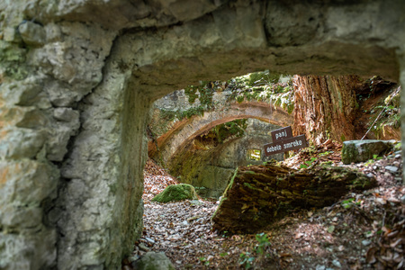 Ruševine gradu Rožek, Alenka Peterlin