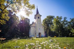 Cerkev sv. Antona, puščavnika, Meniška vas